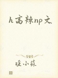 h高辣np文