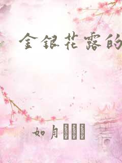 金银花露的小说
