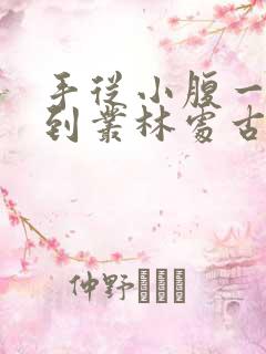 手从小腹一路开到丛林处古代