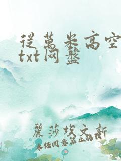 从万米高空降临txt网盘