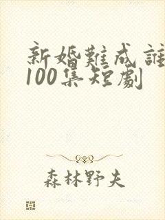 新婚难成谁之错100集短剧