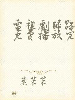 电视剧归路全集免费播放完整版高清