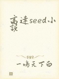 高达seed小说