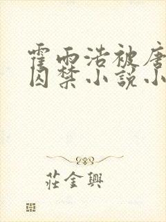 霍雨浩被唐舞麟囚禁小说小说