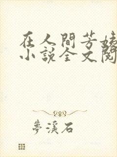 在人间芳姨阿伟小说全文阅读