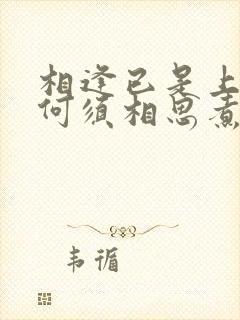 相逢已是上上签何须相思煮余年的意思