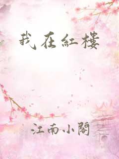 我在红楼