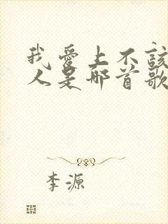 我爱上不该爱的人是哪首歌的歌词