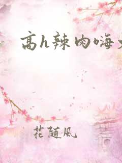高h辣肉嗨文