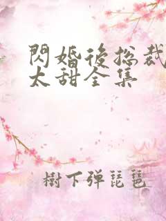 闪婚后总裁娇妻太甜全集