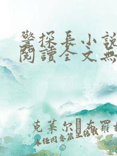 警探长小说免费阅读全文无删减