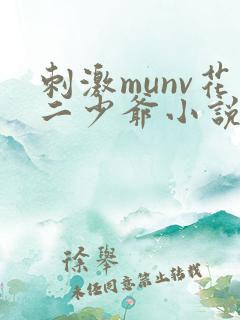 刺激munv花二少爷小说全文阅读