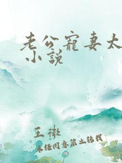 老公宠妻太甜蜜 小说