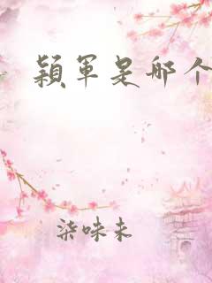 颖军是哪个军阀