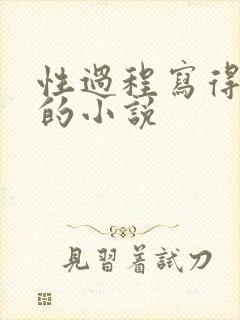 性过程写得详细的小说