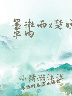 墨微雨x楚晚宁车肉