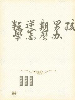 叛逆期男孩子厌学怎么办