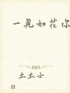 一见如花你就笑