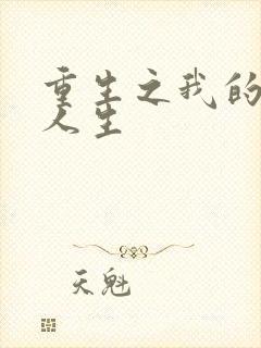 重生之我的抄袭人生