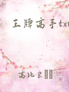 王牌高手txt