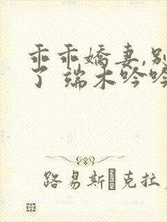 乖乖娇妻,别闹了 端木吟吟