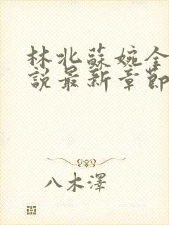 林北苏婉全本小说最新章节