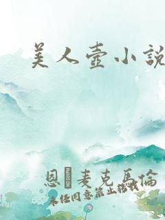 美人壶小说