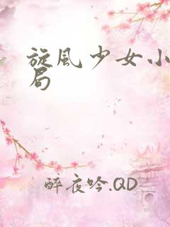 旋风少女小说结局