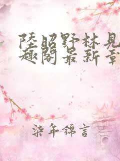 陆昭野林见疏笔趣阁最新章节更新