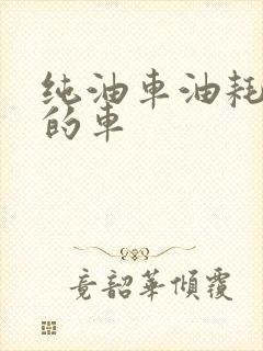 纯油车油耗最低的车