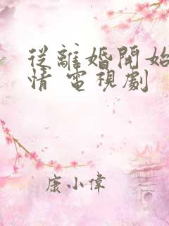 从离婚开始的爱情 电视剧