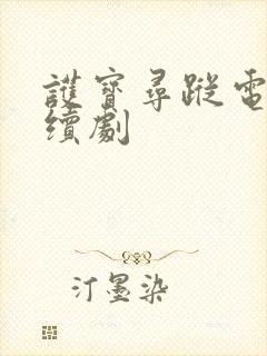 护宝寻踪电视连续剧