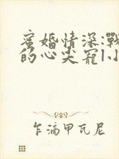 蜜婚情深:战少的心尖宠l小说