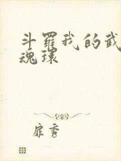 斗罗我的武魂是魂环