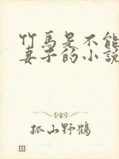 竹马是不能成为妻子的小说免费阅读