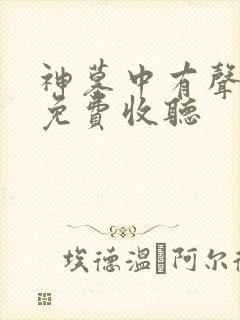 神墓中有声小说免费收听