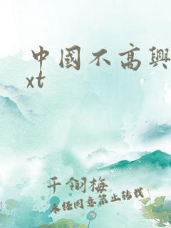 中国不高兴 txt