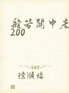 般若关中老人5200