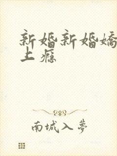 新婚新婚娇妻宠上瘾