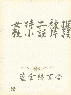 女特工被捆绑调教小说片段