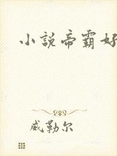 小说帝霸好看吗