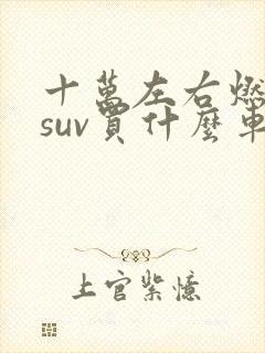 十万左右燃油车suv买什么车好