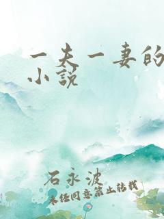 一夫一妻的玄幻小说