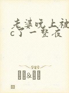 老婆晚上被躁狂c了一整夜