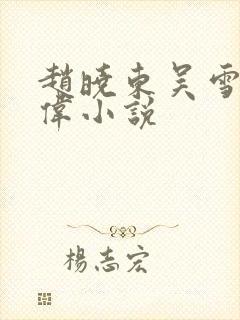 赵晓东吴雪晴郑伟小说