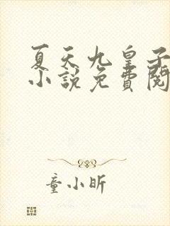 夏天九皇子穿越小说免费阅读