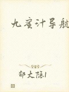 九蜜汁导航