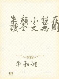 朱颜小说在线阅读全文无删减