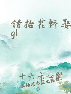 错抬花轿娶对妻gl