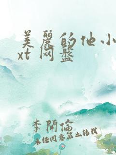 美丽的他小说txt 网盘